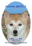 のんたちゃんのメモリアル写真　ペット葬儀日：２０１０年７月１６日　千葉県よりご依頼